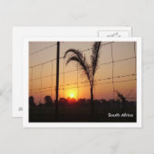 Zuid-Afrika Briefkaart (Voorkant / Achterkant)