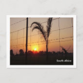 Zuid-Afrika Briefkaart (Voorkant)