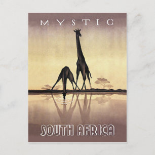 Zuid-Afrika, Giraffe, vintage reis Briefkaart