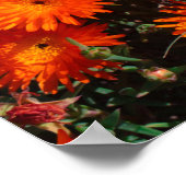 Zuid-Afrika Groen Oranje Succulent Flowers Poster (Hoek)