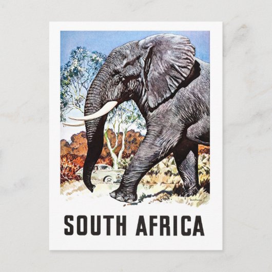Zuid-Afrika, grote olifant, vintage reisbriefkaart Briefkaart (Voorkant)
