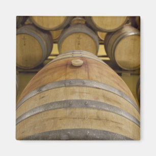 Zuid-Afrika, Kaapstad. Wijngebied met Stellenbosch Magneet