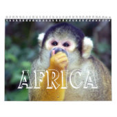 Zuid-Afrika Kalender (Hoes)