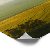 Zuid-Afrika Landschap Canola Fields Poster (Hoek)