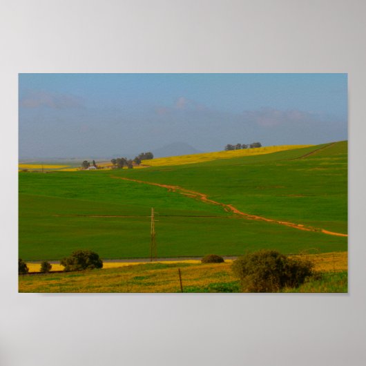 Zuid-Afrika Landschap Canola Fields Poster (Voorkant)