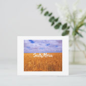 Zuid-Afrika Landschap Wheat Fields Postcar Briefkaart (Staand voorkant)