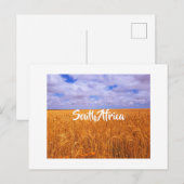 Zuid-Afrika Landschap Wheat Fields Postcar Briefkaart (Voorkant / Achterkant)