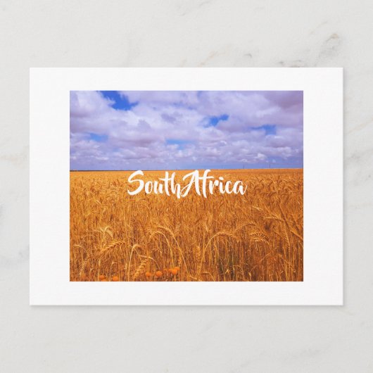 Zuid-Afrika Landschap Wheat Fields Postcar Briefkaart (Voorkant)