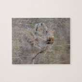 Zuid-Afrika Leeuw Puzzel (Horizontaal)