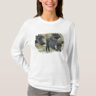 Zuid-Afrika, Pilanesburg GR, Wratzwijn T-shirt