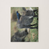 Zuid-Afrika, Pilanesburg, Warthog Legpuzzel (Verticaal)