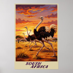 Zuid-Afrika poster