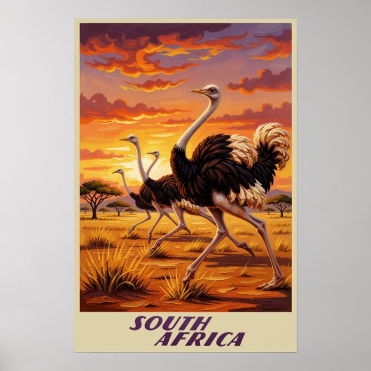 Zuid-Afrika poster (Voorkant)