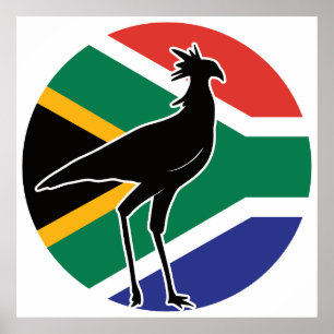 Zuid-Afrika Secretarybird Secretaris vogel Afrikaa Poster