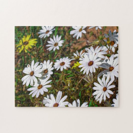 Zuid-Afrika Velddrif West Coast Wild Flowers Legpuzzel (Horizontaal)