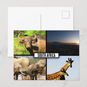 Zuid-Afrika Wildlife Fotocollage Briefkaart