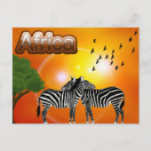 Zuid-Afrika  Zebra reizen Briefkaart (Voorkant)