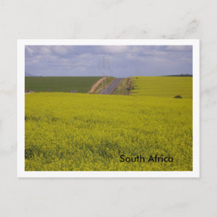 Zuid-Afrikaans landschap Briefkaart