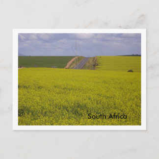 Zuid-Afrikaans landschap Briefkaart