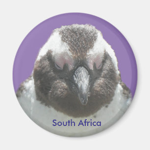 Zuid-Afrikaans Penguin Face  Magnet Magneet