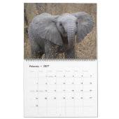 Zuid-Afrikaans wild Kalender (Feb 2027)