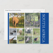 zuid - afrikaanse dieren briefkaart (Voorkant / Achterkant)