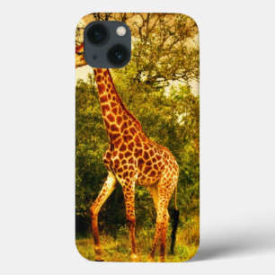 Zuid-Afrikaanse giraffen iPhone 13 Hoesje