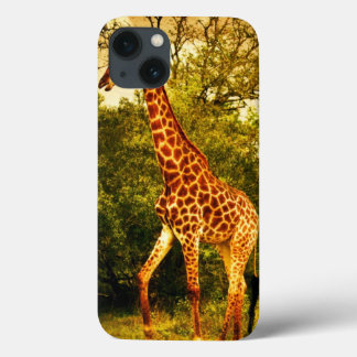 Zuid-Afrikaanse giraffen iPhone 13 Hoesje