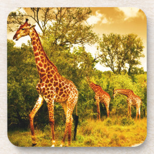 Zuid-Afrikaanse giraffen Drankjes Onderzetter