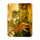 Zuid-Afrikaanse giraffen Magneet (Verticaal)