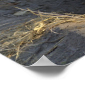 Zuid-Afrikaanse Hyena Poster (Hoek)