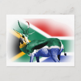 Zuid-Afrikaanse vlag van Springbock Briefkaart