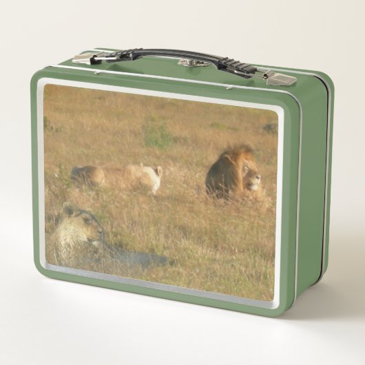 Zuid-Afrikaanse Zebras en Lunchbox (Achterkant)