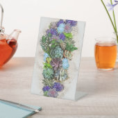 Zuid-Afrika's Succulenten Reclamebord Met Voetstuk (Insitu)