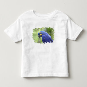 Zuid-Amerika, Brazilië, Pantanal Kinder Shirts