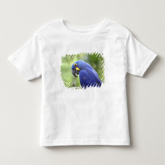 Zuid-Amerika, Brazilië, Pantanal Kinder Shirts (Voorkant)