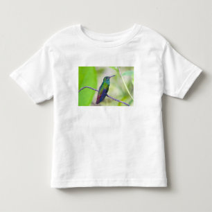 Zuid-Amerika, Costa Rica, Sarapiqui, La Selva Kinder Shirts