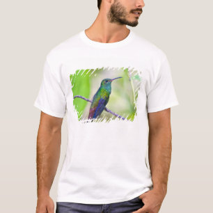 Zuid-Amerika, Costa Rica, Sarapiqui, La Selva T-shirt