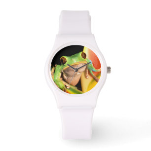 Zuid-Amerika, Ecuador, Amazone. Boomkikker Horloge