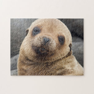 Zuid-Amerika, Ecuador, Galapagos-eilanden Legpuzzel