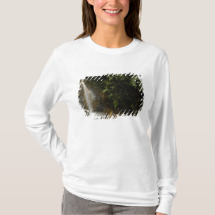 Zuid-Amerika, Ecuador, oostelijke helling van de T-shirt