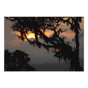 Zuid-Amerika, Ecuador, wolkenwoud scène in Foto Afdruk