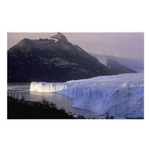 Zuid-Amerika, Patagonia, Argentinië Park Foto Afdruk