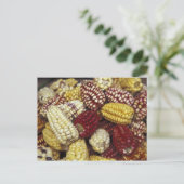 Zuid-Amerika, Peru Corn, Maïs Briefkaart (Staand voorkant)