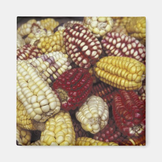 Zuid-Amerika, Peru Corn, Maïs Magneet (Voorkant)
