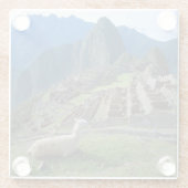 Zuid-Amerika, Peru. Een lama rust op een heuvel Glazen Onderzetter (Achterkant)