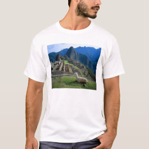 Zuid-Amerika, Peru. Een lama rust op een heuvel T-shirt