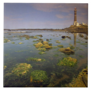 Zuid-Amerika, Uruguay, Punta Jose Ignacio, Tegeltje