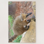 Zuid-Amerikaans coatimundi-dier, Argentinië Legpuzzel (Verticaal)