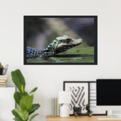 Zuid-Amerikaanse Caiman Poster (Thuiskantoor)